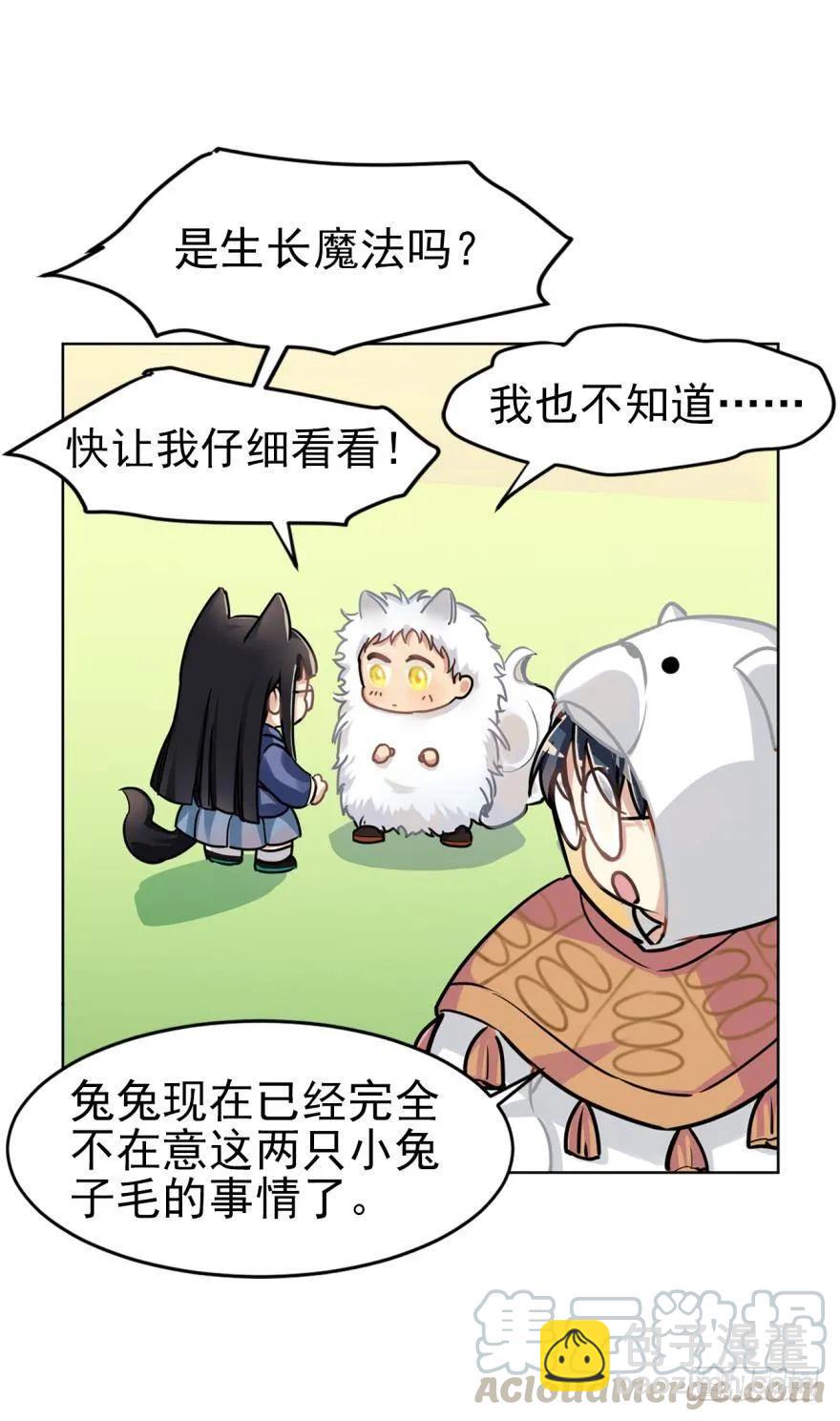 《老师，狼来啦！》兔兔和毛毛交换秘密 第13页