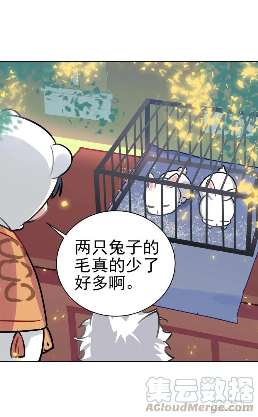 《老师，狼来啦！》兔兔和毛毛交换秘密 第7页