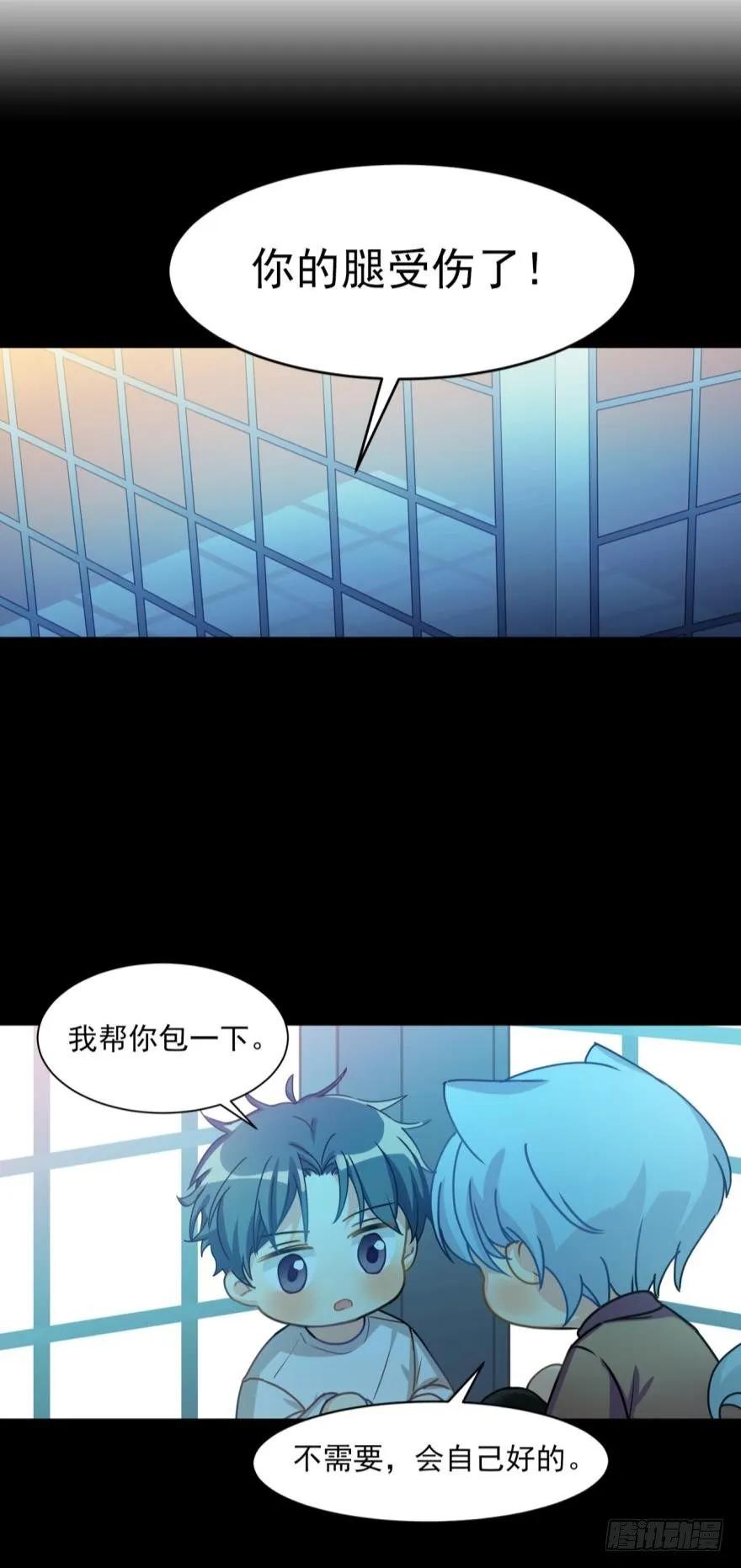《老师，狼来啦！》文轩和阿笑的小鸭子 第14页