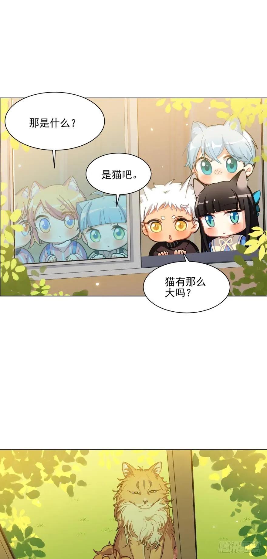 《老师，狼来啦！》文轩和阿笑的小鸭子 第2页
