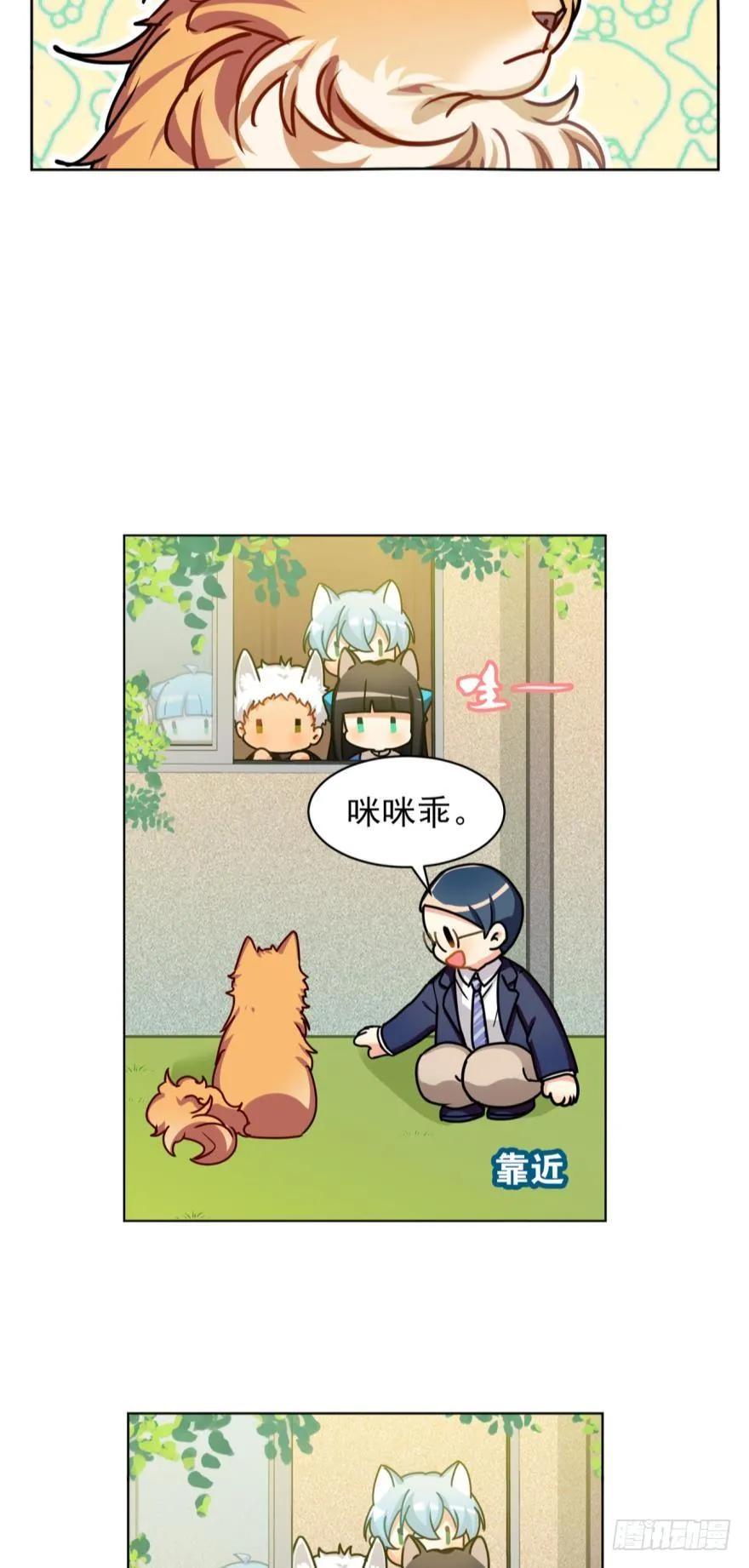 《老师，狼来啦！》文轩和阿笑的小鸭子 第5页