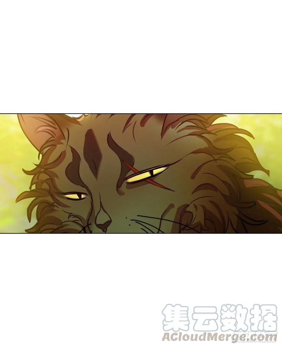 《老师，狼来啦！》大师失踪的原因（二） 第19页