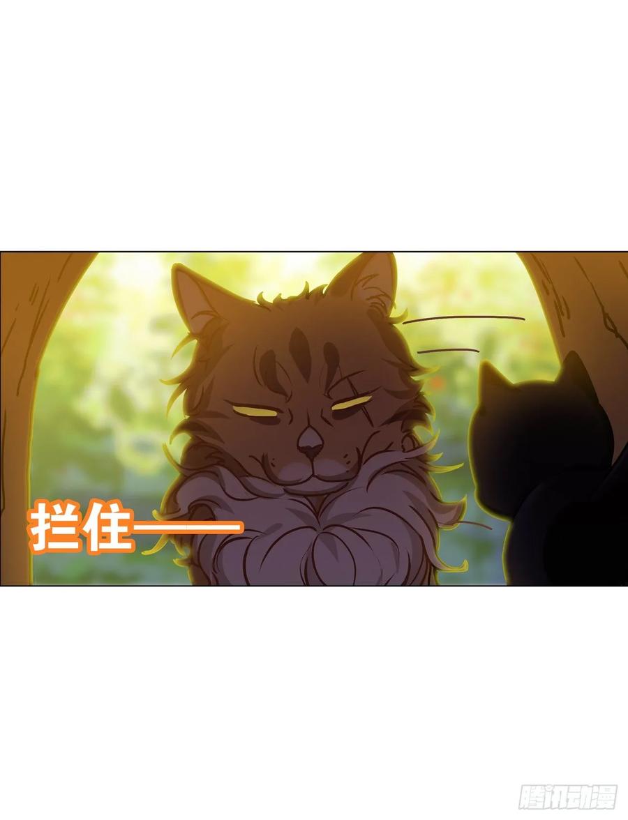 《老师，狼来啦！》大师失踪的原因（二） 第24页