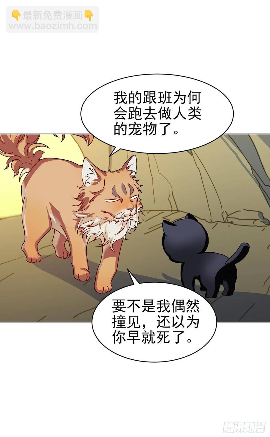 《老师，狼来啦！》大师失踪的原因（二） 第14页