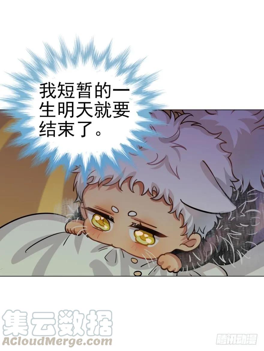 《老师，狼来啦！》哥哥霸气登场 第13页