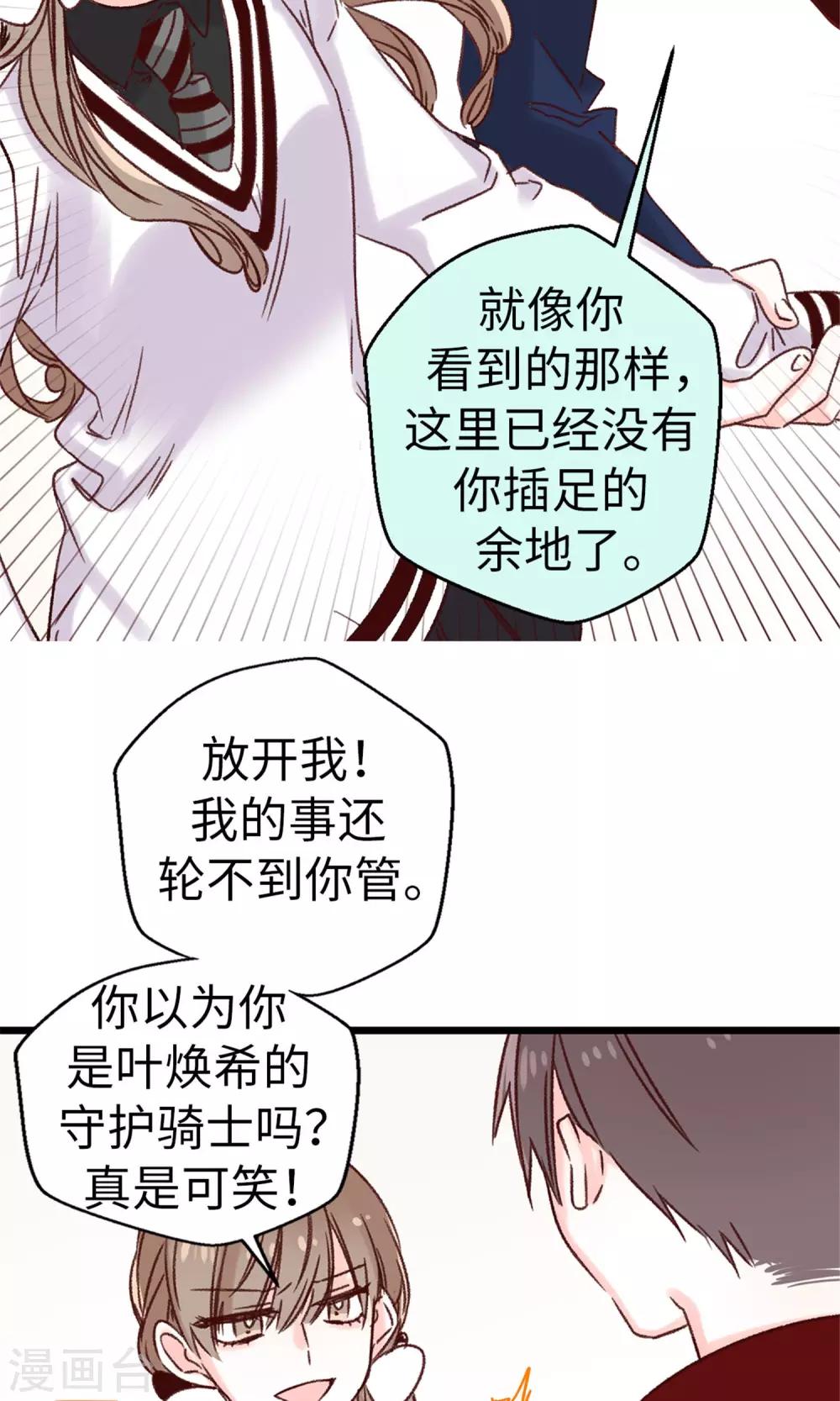 《蔷薇恋人》第16话 拼命守护的人 第6页