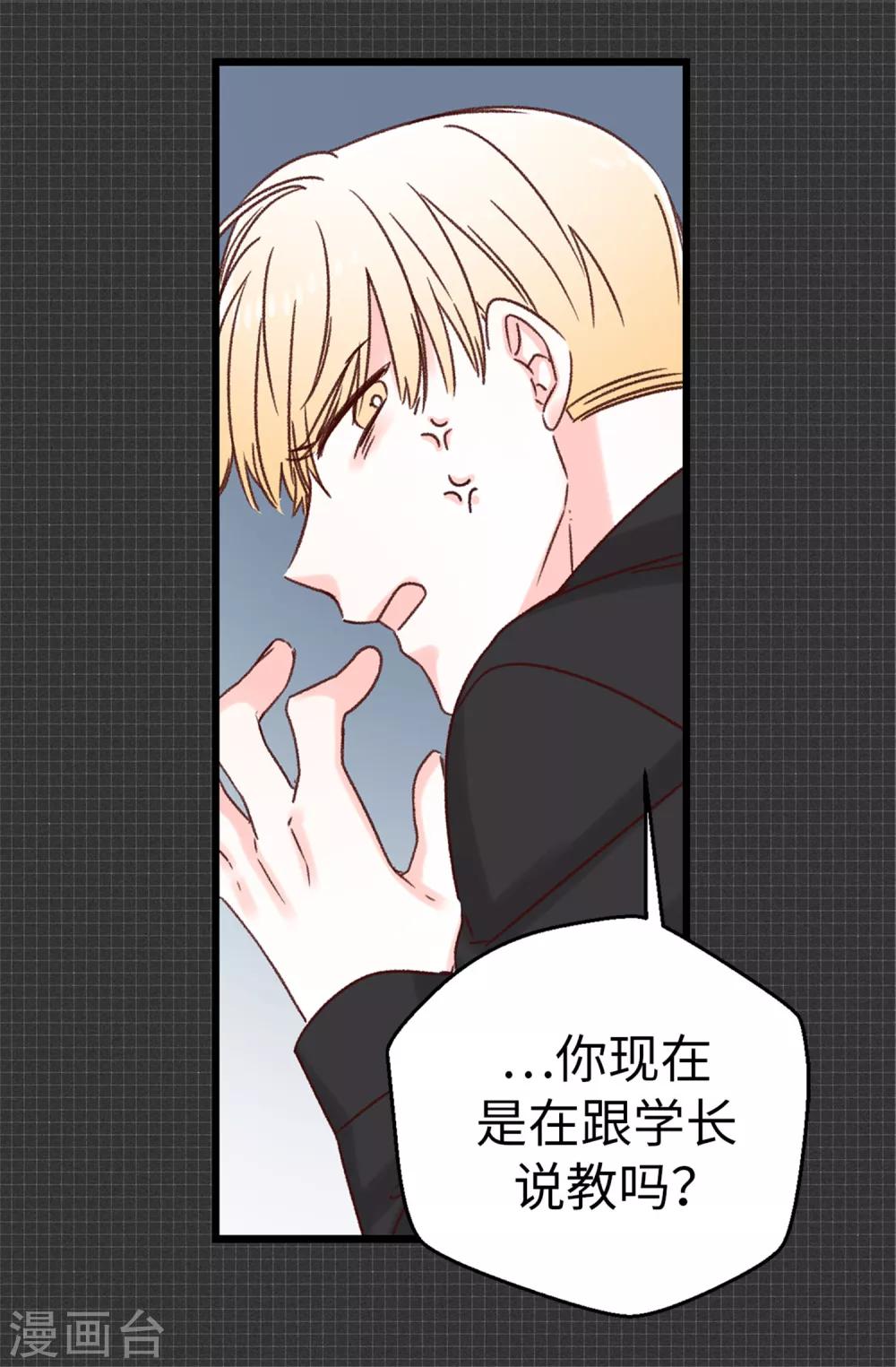 《蔷薇恋人》第35话 训练结束后等你 第28页
