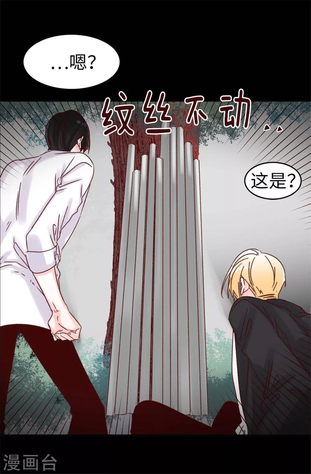 《蔷薇恋人》第40话 恐惧的回忆 第25页