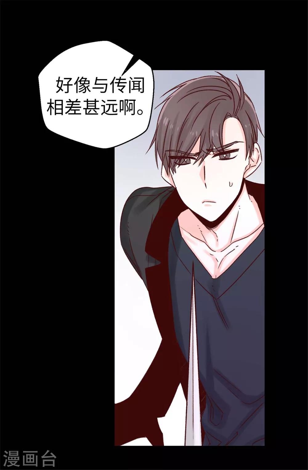 《蔷薇恋人》第51话 猎人突袭 第27页