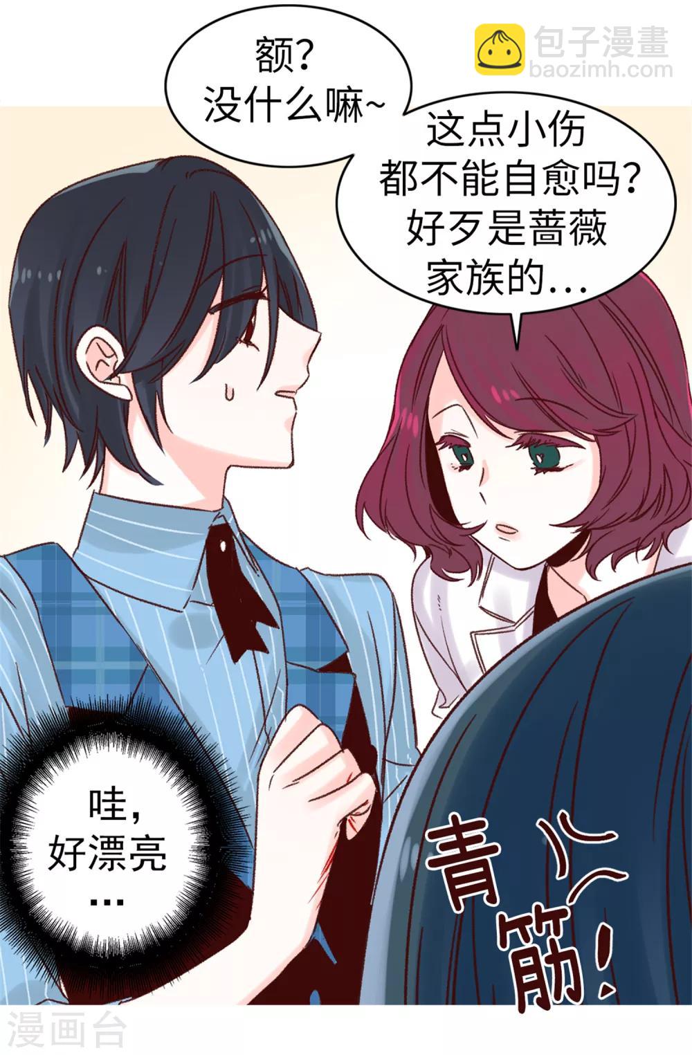 《蔷薇恋人》第58话 下定决心 第6页