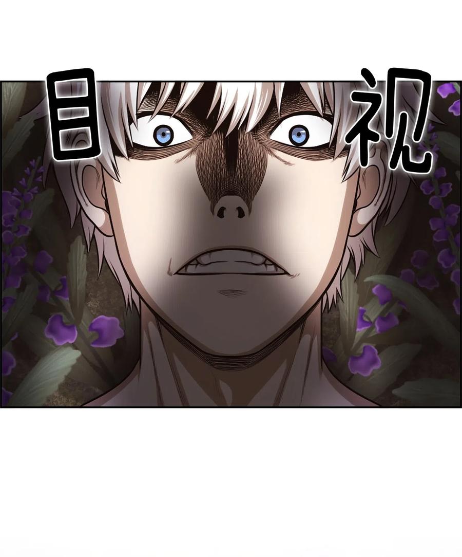 《潘菲亚传奇》31 31 第14页