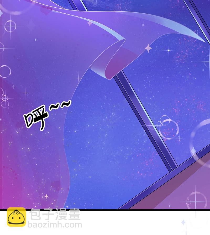 《王牌天师小蛮妖》踏夜而来的他 第28页