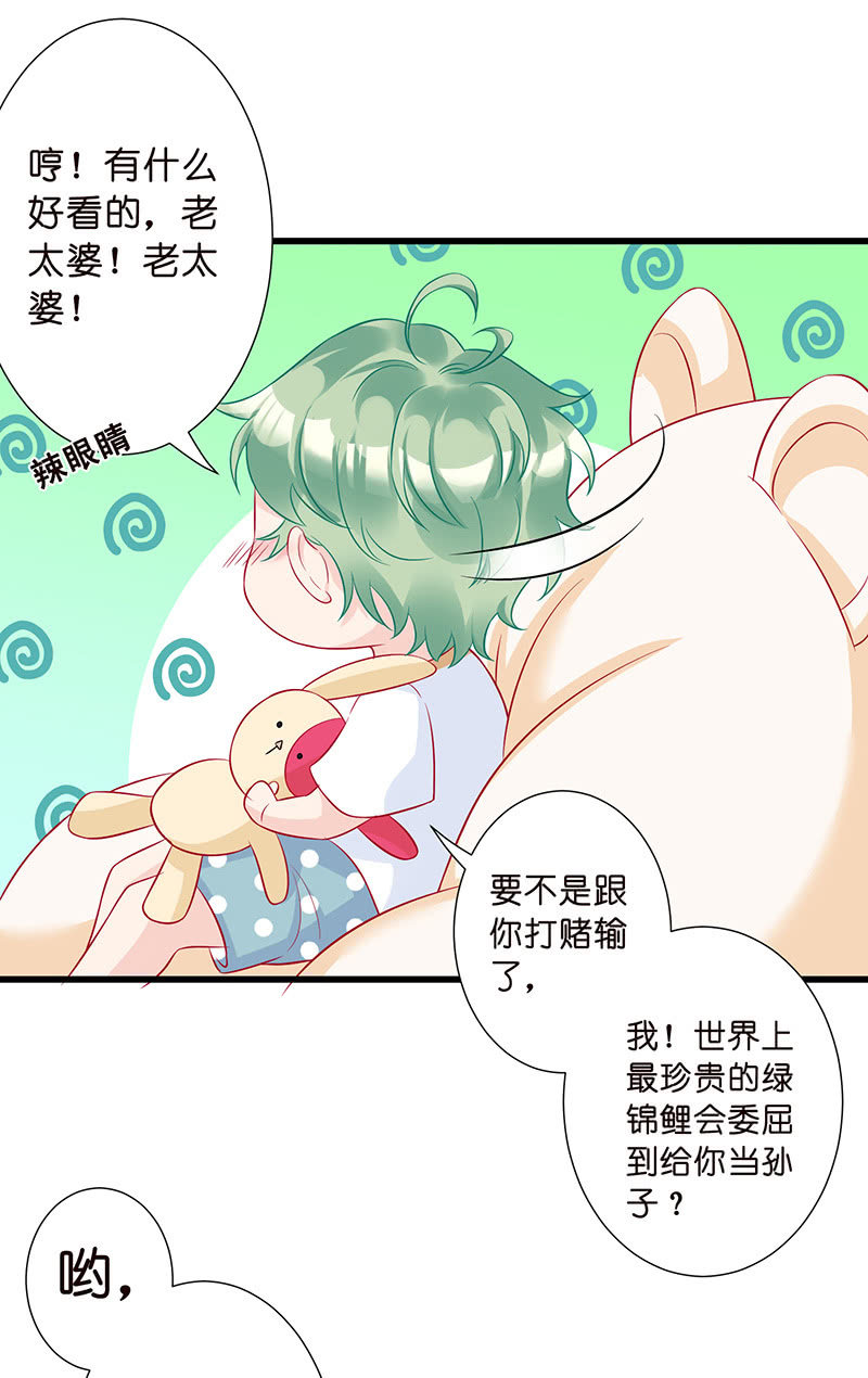 《王牌天师小蛮妖》踏夜而来的他 第40页