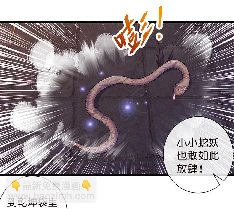 《王牌天师小蛮妖》踏夜而来的他 第5页