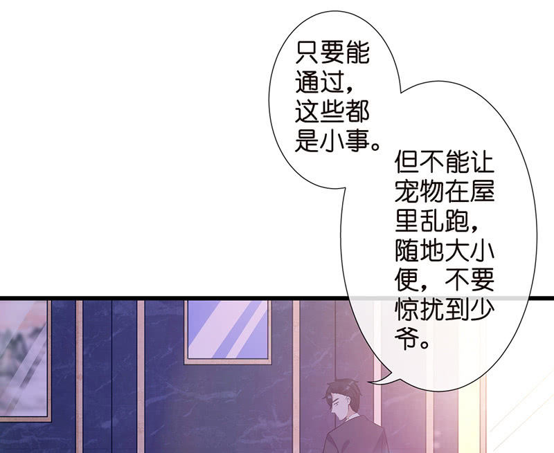 《王牌天师小蛮妖》转发这条锦鲤 第21页
