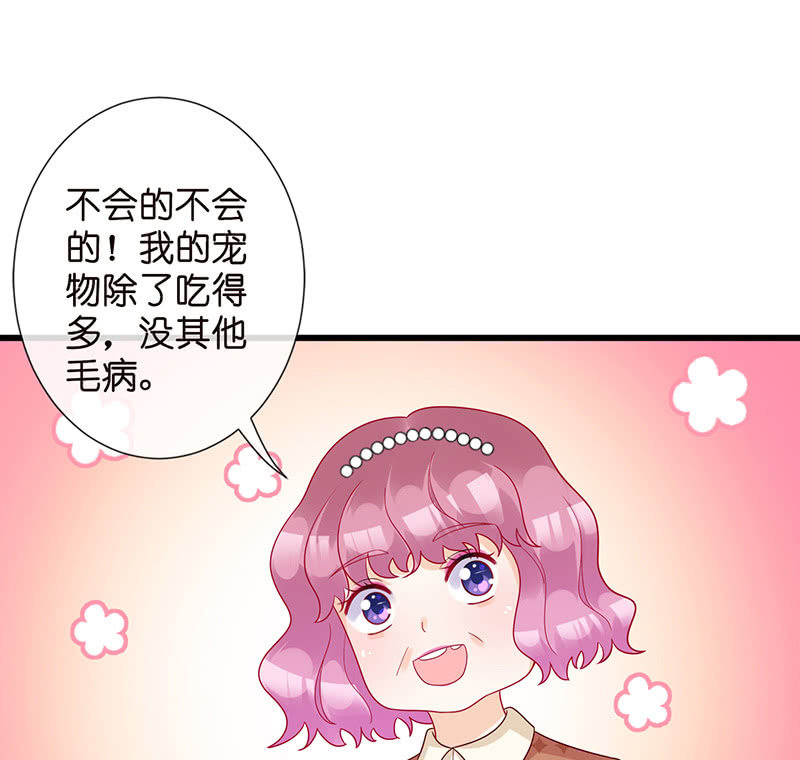 《王牌天师小蛮妖》转发这条锦鲤 第23页