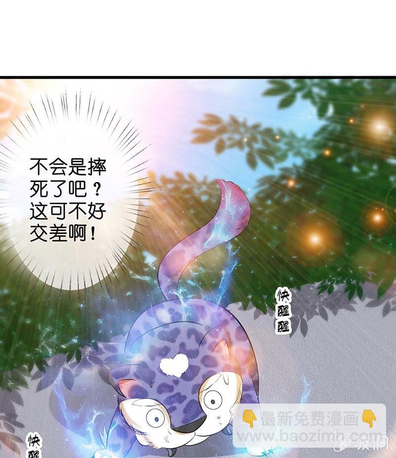 《王牌天师小蛮妖》少女斗大猫 第45页