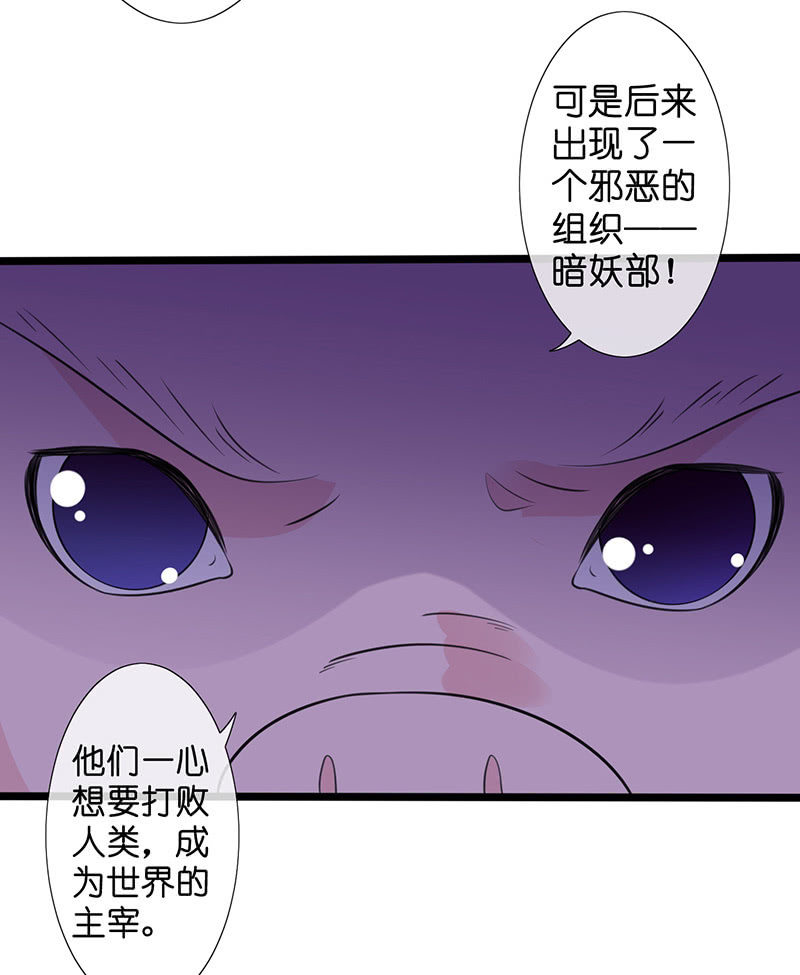 《王牌天师小蛮妖》妖族往事 第10页
