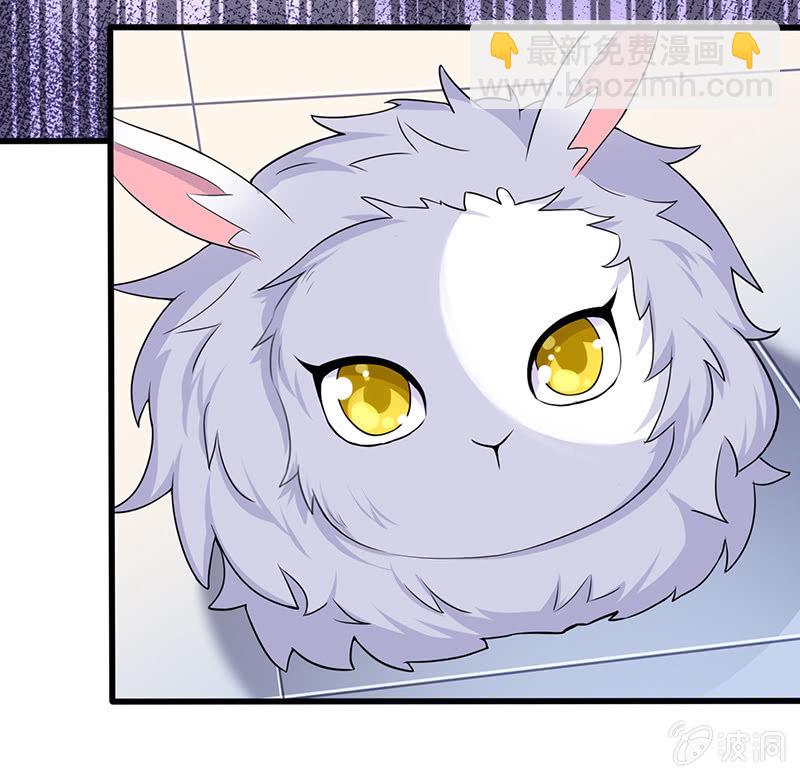 《王牌天师小蛮妖》兔子，变身！ 第13页