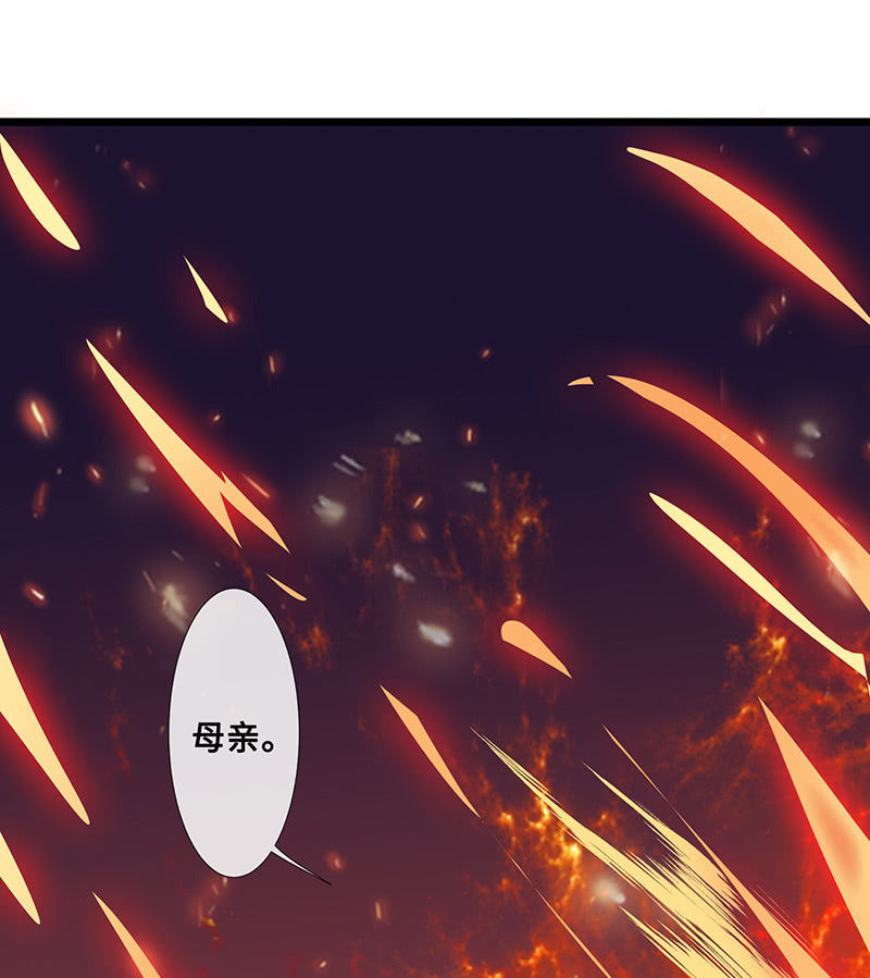 《王牌天师小蛮妖》燃烧的回忆 第47页