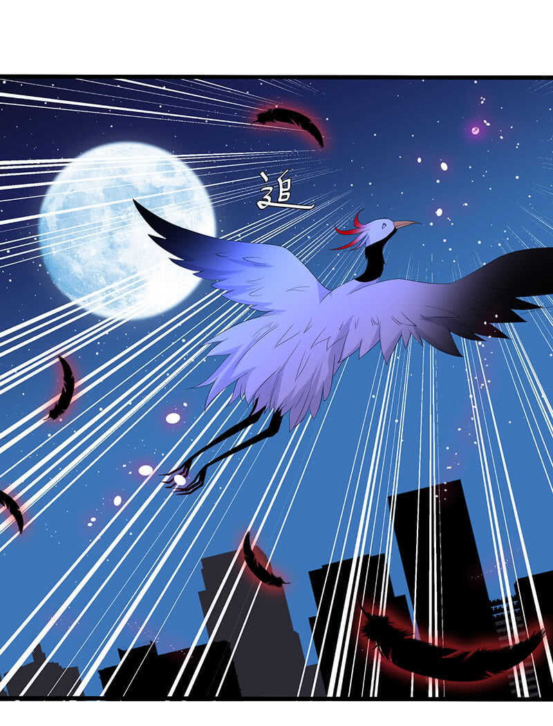 《王牌天师小蛮妖》神秘女人的来电 第23页