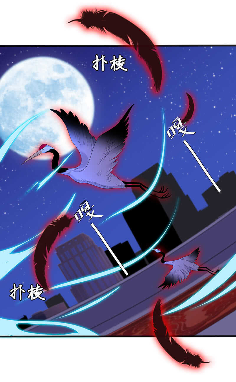 《王牌天师小蛮妖》神秘女人的来电 第8页