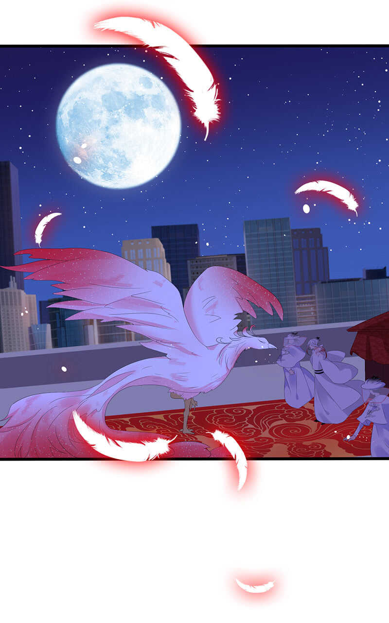 《王牌天师小蛮妖》“叛徒”烈焰凰 第26页