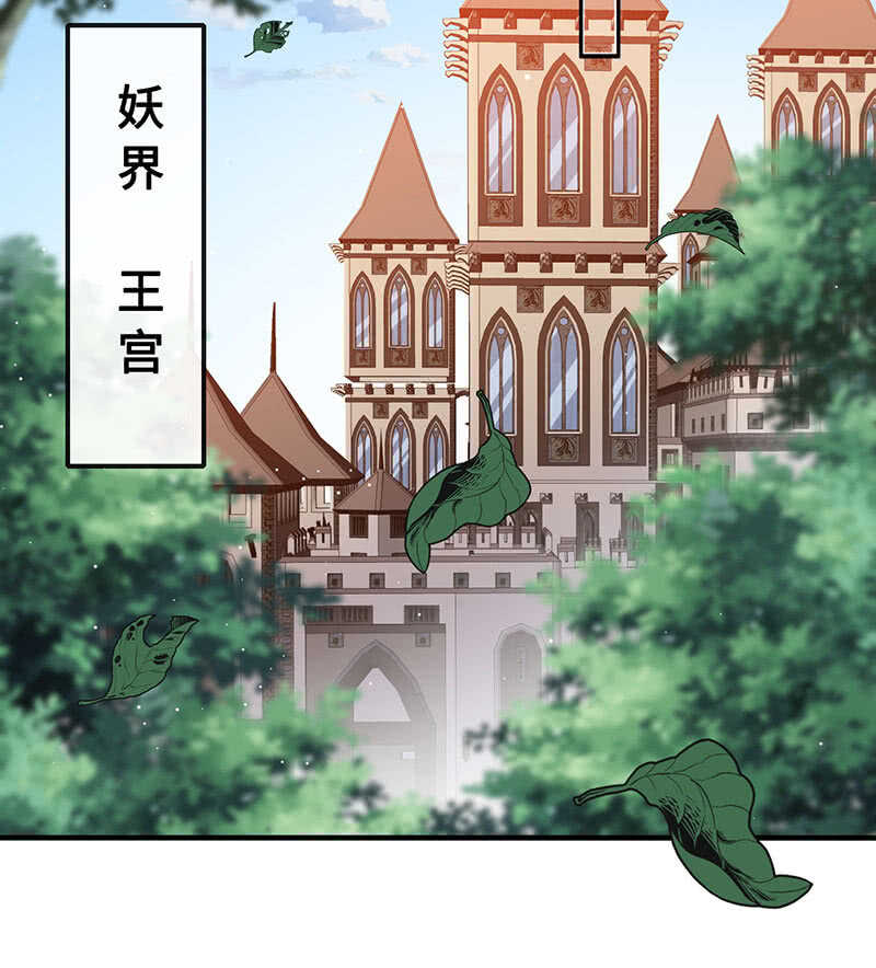 《王牌天师小蛮妖》侍寝 第14页