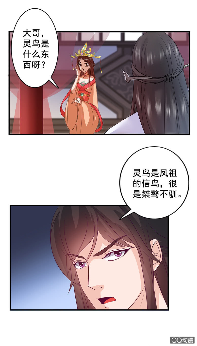 《女凰灵笄》第四十二话灵鸟失窃 第13页