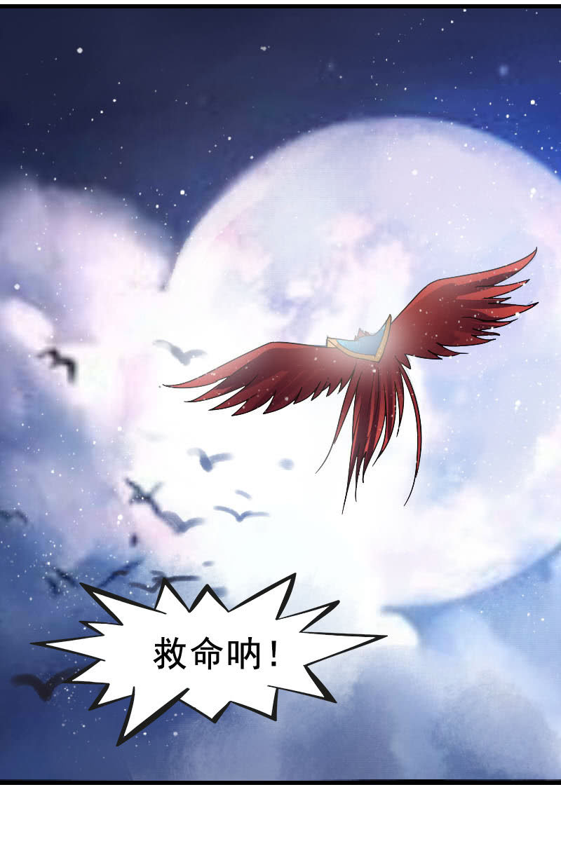 《女凰灵笄》第118话娘子，你就从了我吧！ 第28页