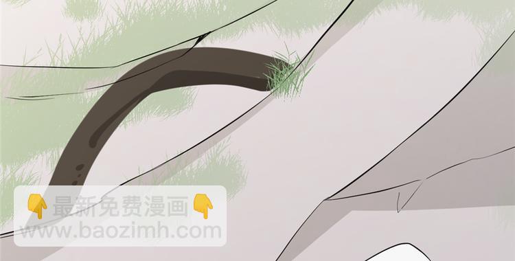 《半缘修仙半缘君》第43话 第20页
