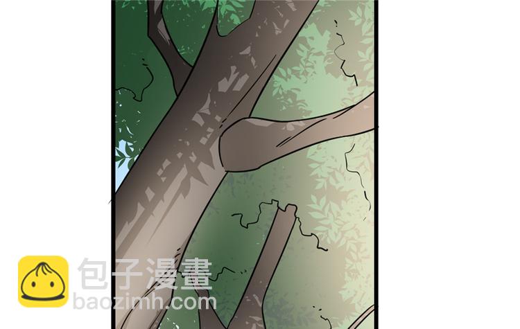 《半缘修仙半缘君》第66话 第3页