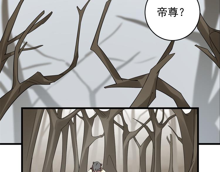《半缘修仙半缘君》第156话 第5页
