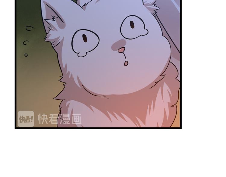《半缘修仙半缘君》第162话 第19页
