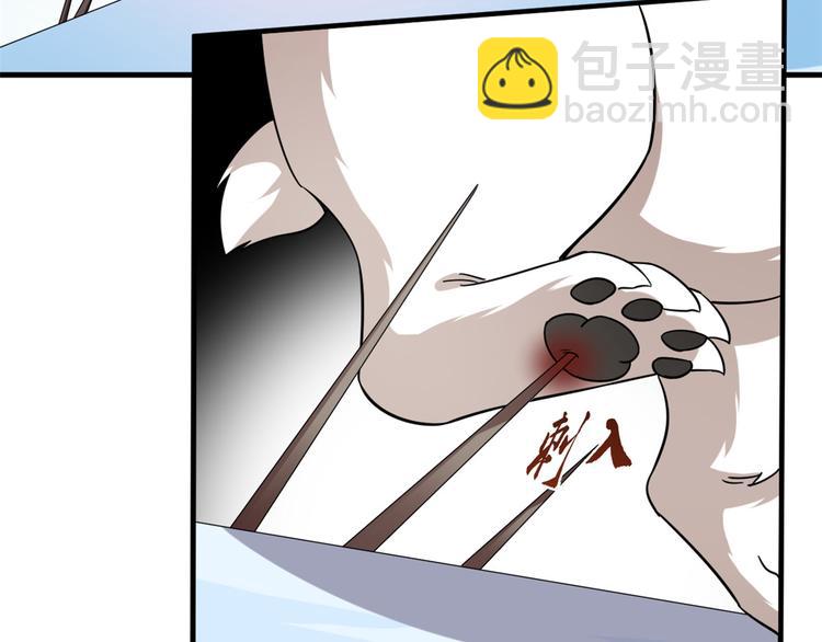 《半缘修仙半缘君》第208话 第45页