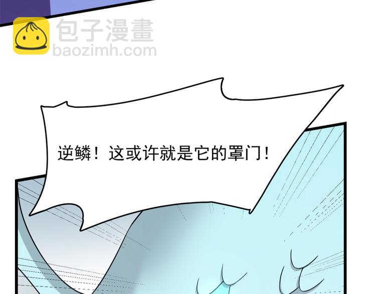 《半缘修仙半缘君》第225话 第41页