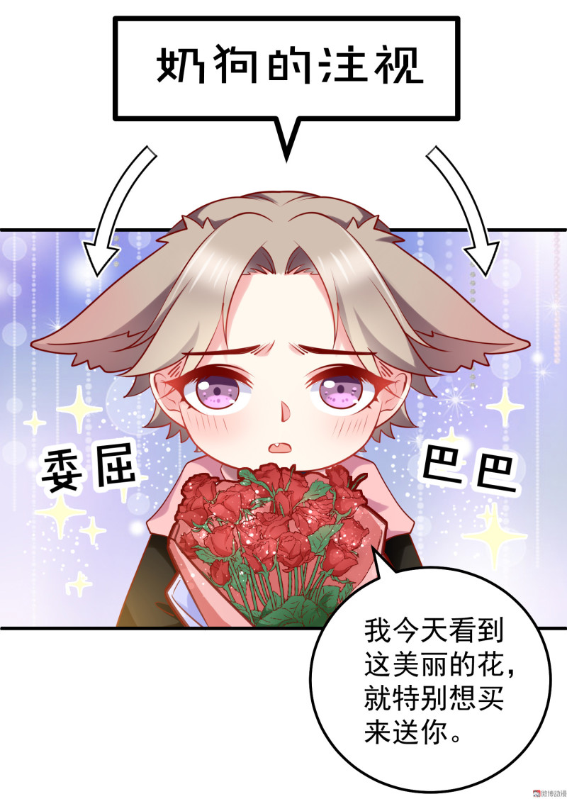 《女总裁的戏精小鲜肉》第29话 攻略金依依 第17页