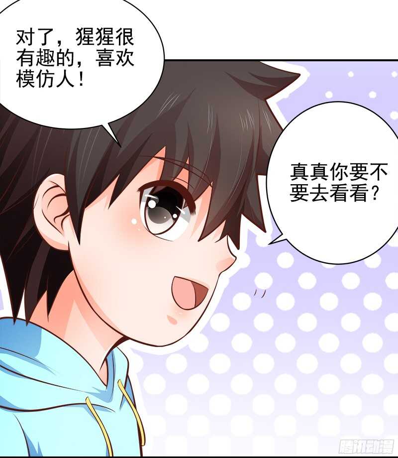 《帝少的心尖宠》第35话周末去动物园 第26页