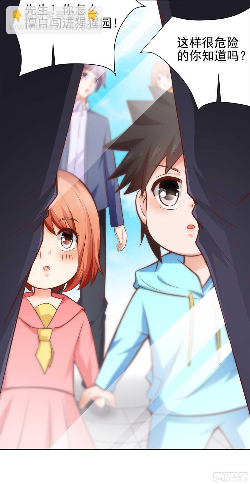 《帝少的心尖宠》第35话周末去动物园 第35页
