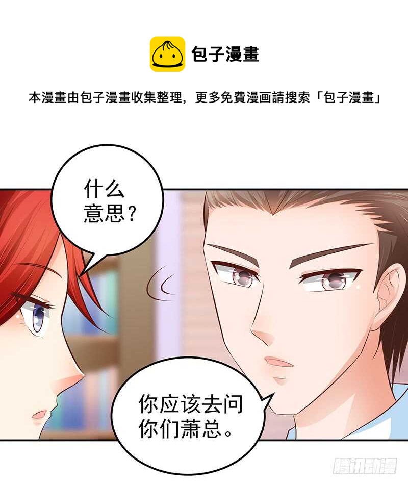 《帝少的心尖宠》第74话 护妻狂魔 第29页