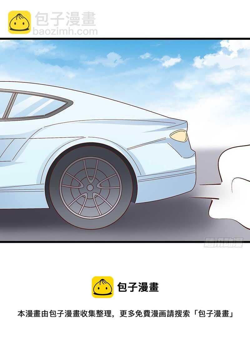 《帝少的心尖宠》第76话 深情往事 第29页