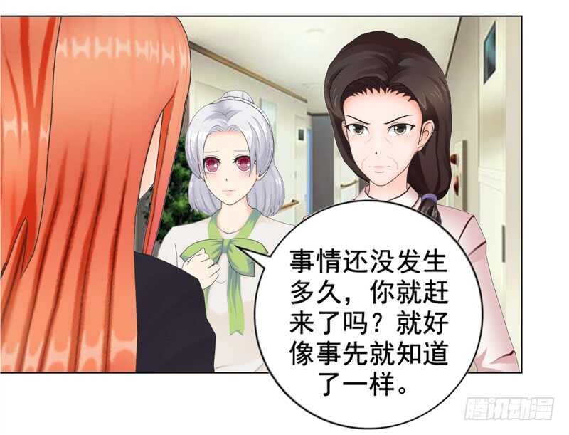 《帝少的心尖宠》第102话真相 第19页