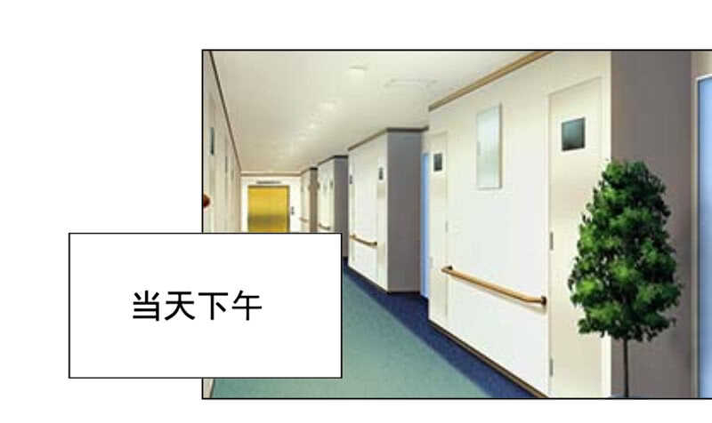 《帝少的心尖宠》车牌号码 第32页