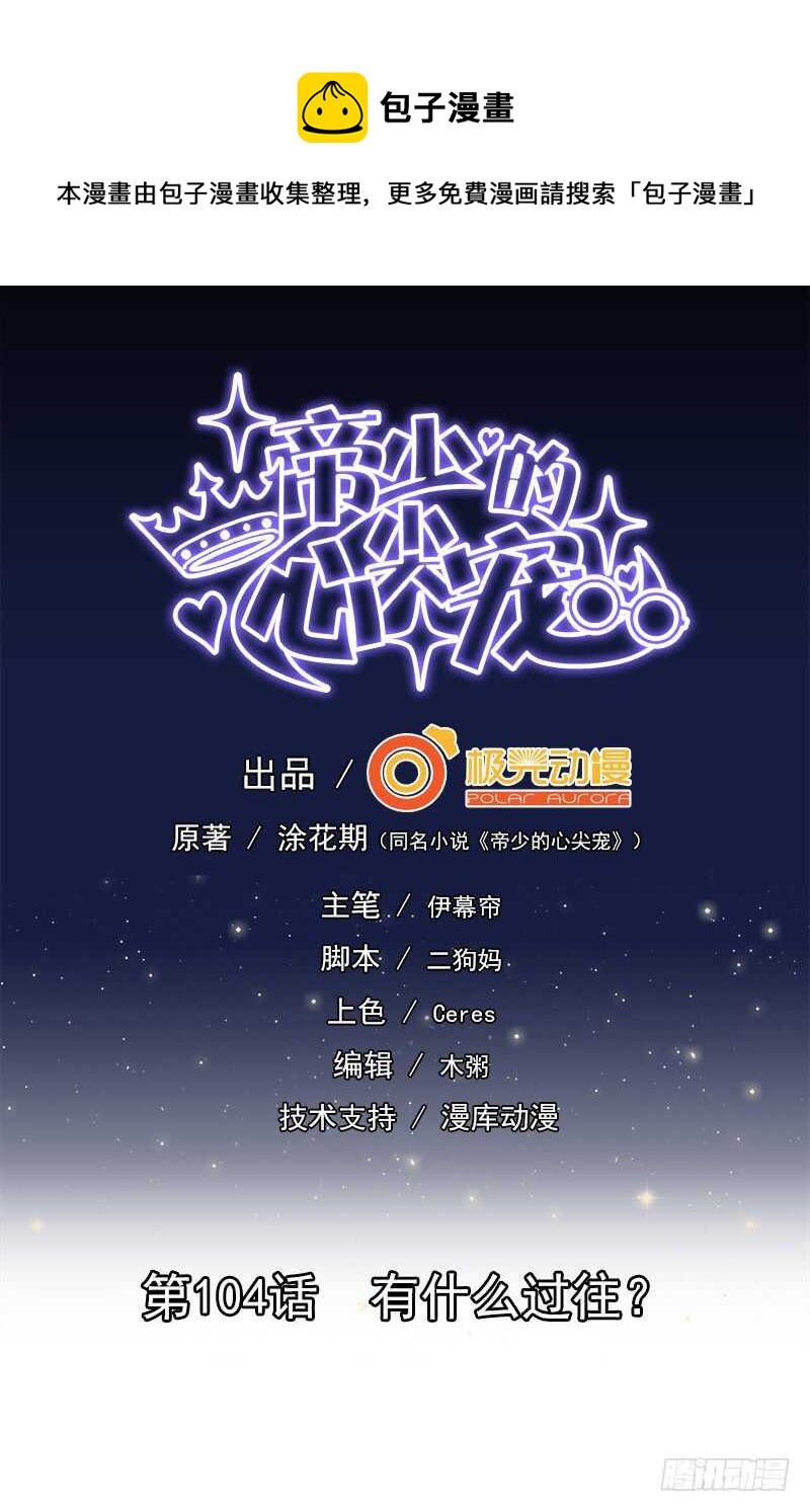 《帝少的心尖宠》第104话有什么过往 第1页