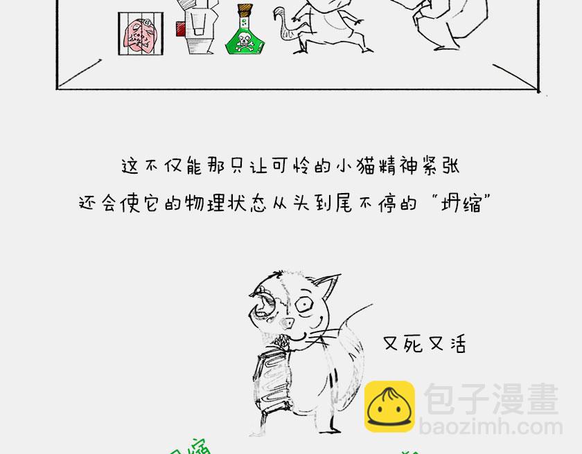 《1小时看懂相对论》平行宇宙6-3 量子平行宇宙 第32页