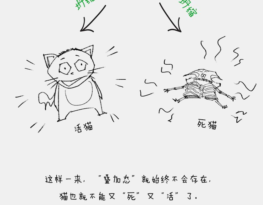 《1小时看懂相对论》平行宇宙6-3 量子平行宇宙 第33页