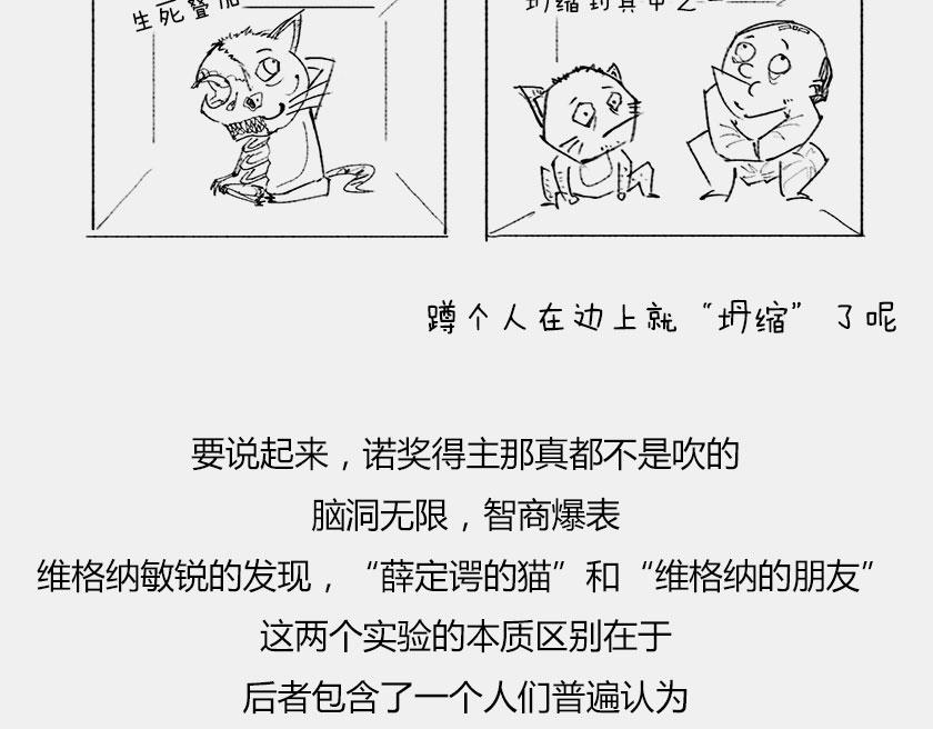 《1小时看懂相对论》平行宇宙6-3 量子平行宇宙 第37页