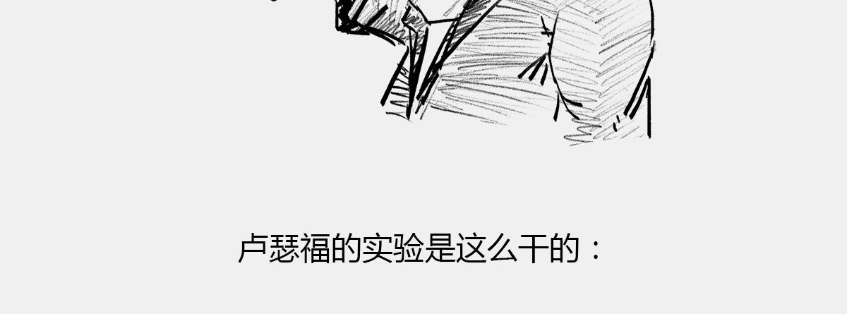 《1小时看懂相对论》一个纯爷们，一个女神，狼叔+ 第43页