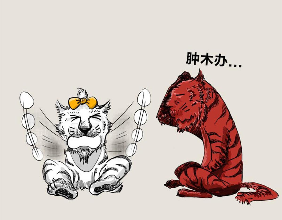《1小时看懂相对论》11.11特辑——我恨马云 第26页