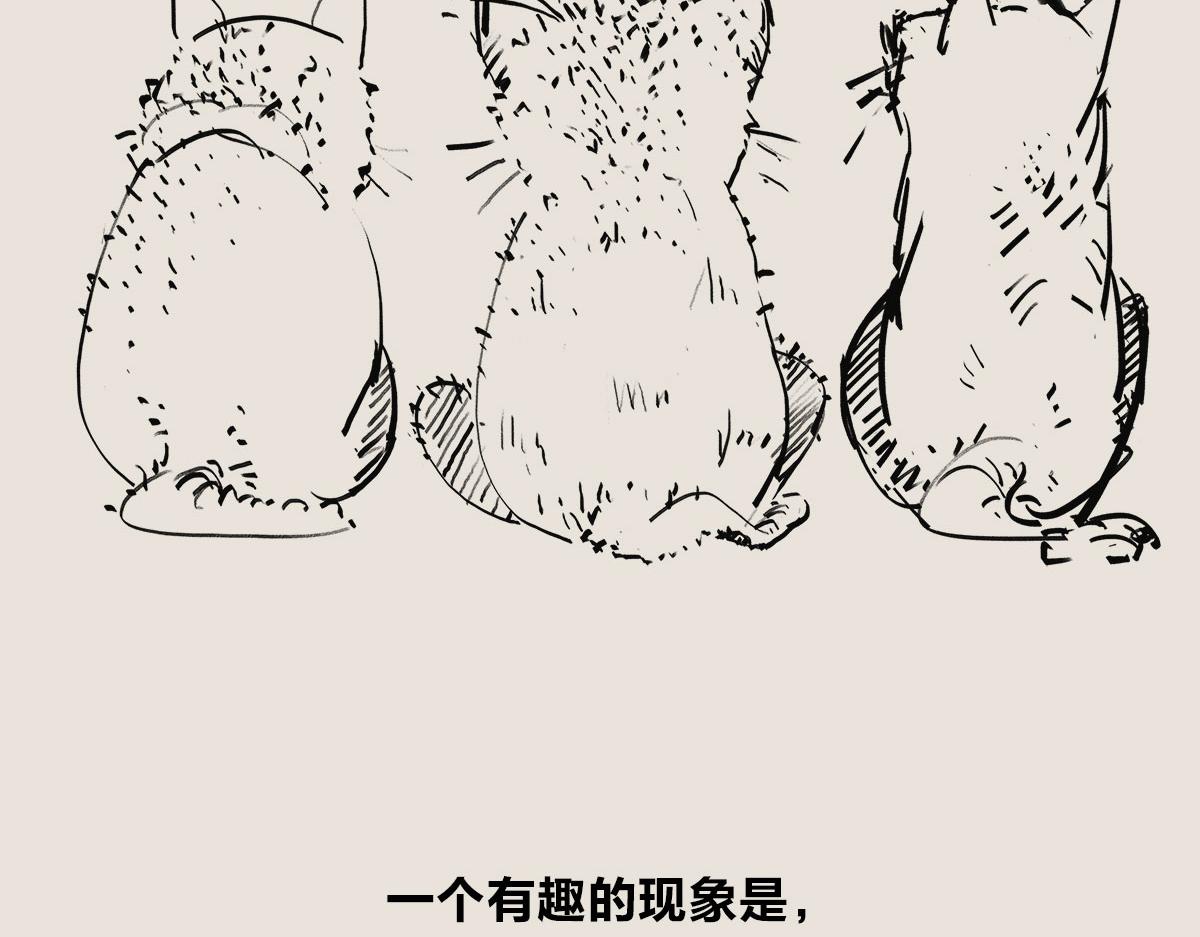 《1小时看懂相对论》有只卖狗的 第44页